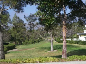 View of the Ocean Hills Golf Course